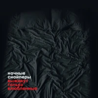 Ночные снайперы - История