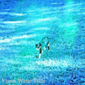 Slide - Pool Water